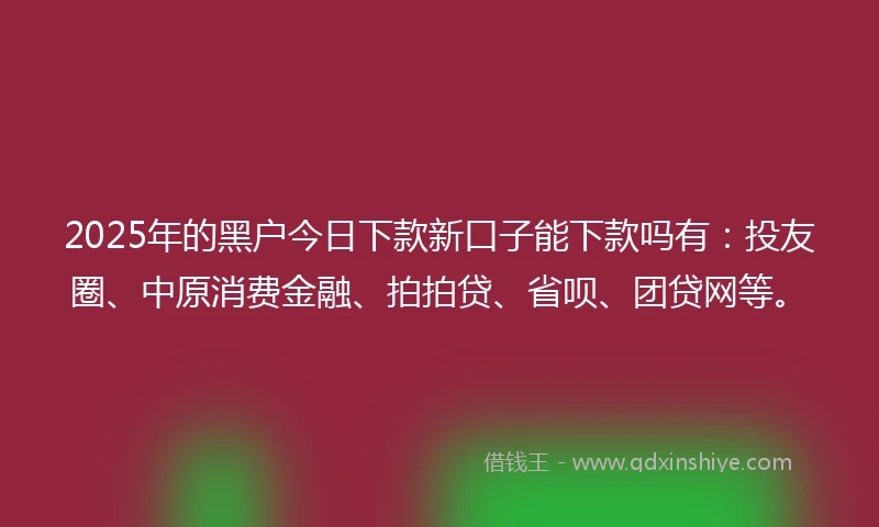2025年的黑户今日下款新口子能下款吗有：投友圈、中原消费金融、拍拍贷、省呗、团贷网等。