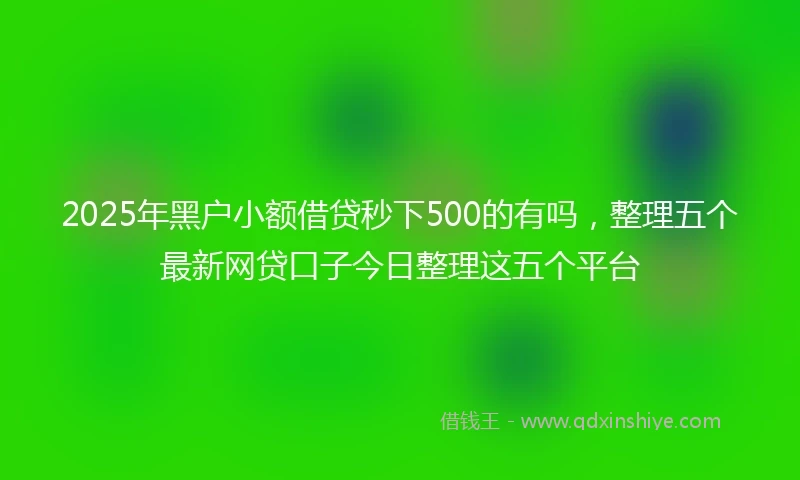 2025年黑户小额借贷秒下500的有吗，整理五个最新网贷口子今日整理这五个平台