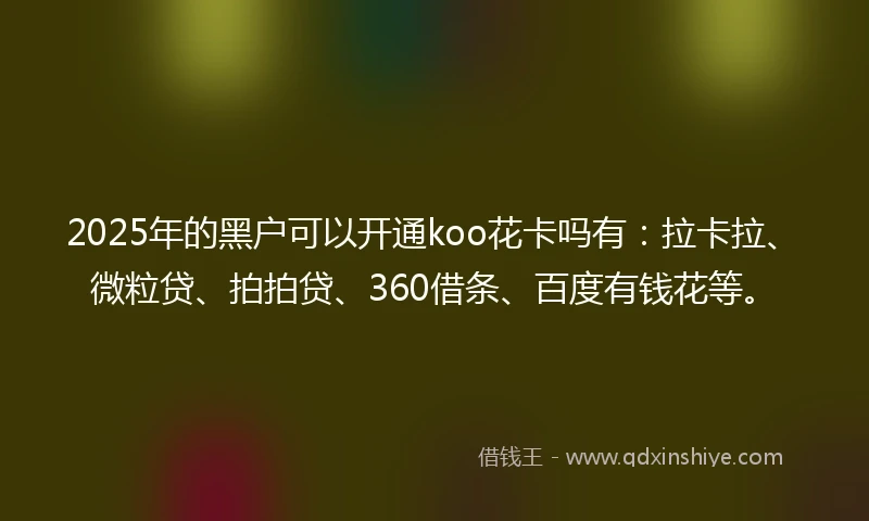 2025年的黑户可以开通koo花卡吗有：拉卡拉、微粒贷、拍拍贷、360借条、百度有钱花等。