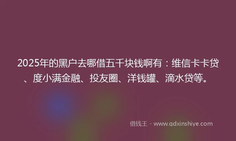 2025年的黑户去哪借五千块钱啊有：维信卡卡贷、度小满金融、投友圈、洋钱罐、滴水贷等。