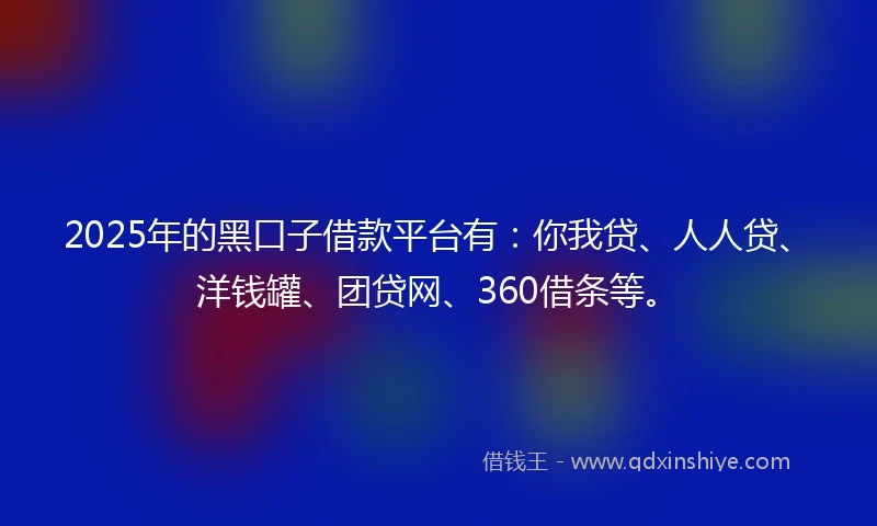 2025年的黑口子借款平台有：你我贷、人人贷、洋钱罐、团贷网、360借条等。
