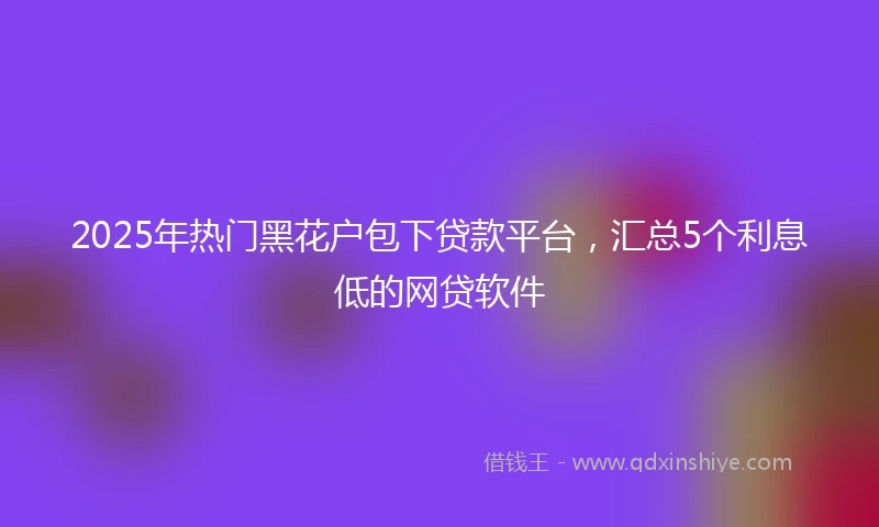 2025年热门黑花户包下贷款平台，汇总5个利息低的网贷软件