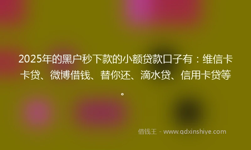 2025年的黑户秒下款的小额贷款口子有：维信卡卡贷、微博借钱、替你还、滴水贷、信用卡贷等。