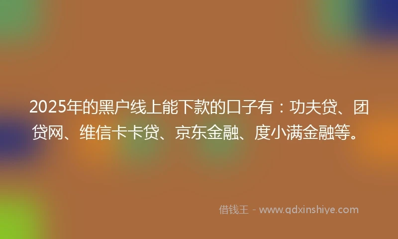 2025年的黑户线上能下款的口子有：功夫贷、团贷网、维信卡卡贷、京东金融、度小满金融等。