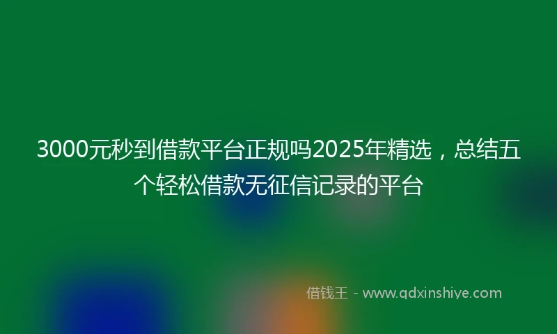 3000元秒到借款平台正规吗2025年精选，总结五个轻松借款无征信记录的平台