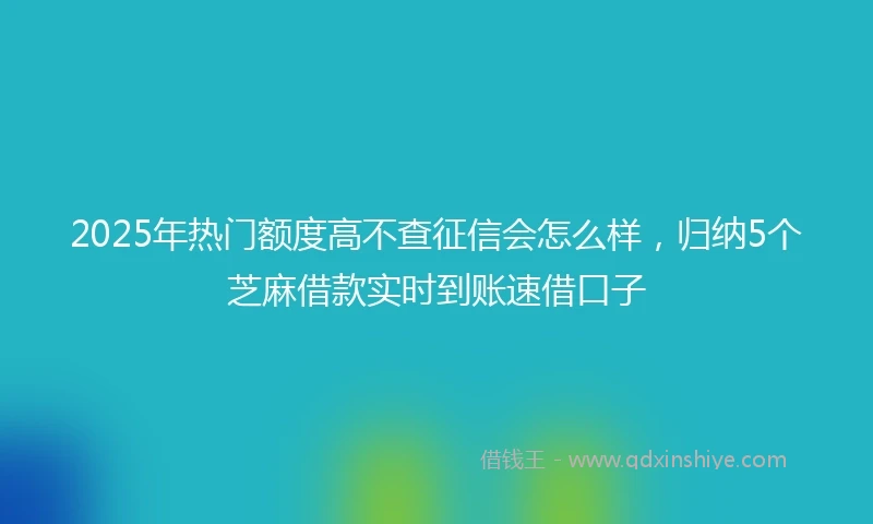 2025年热门额度高不查征信会怎么样，归纳5个芝麻借款实时到账速借口子