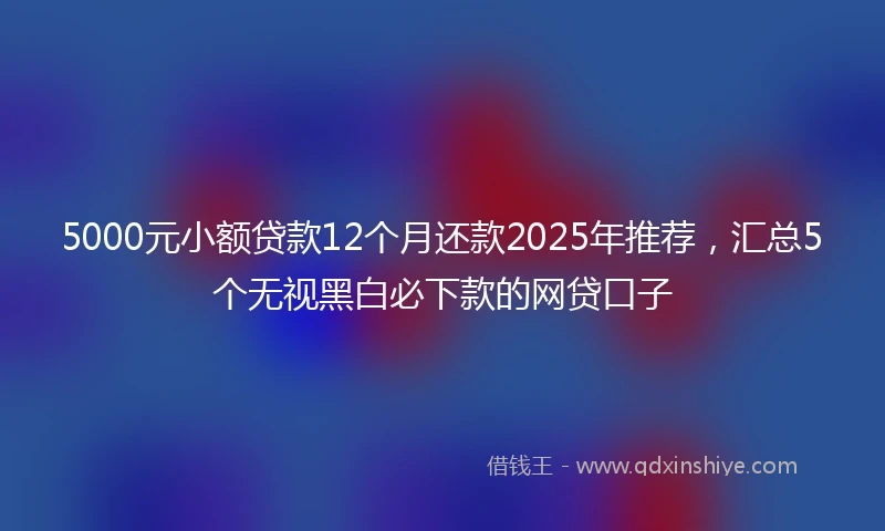 5000元小额贷款12个月还款2025年推荐，汇总5个无视黑白必下款的网贷口子