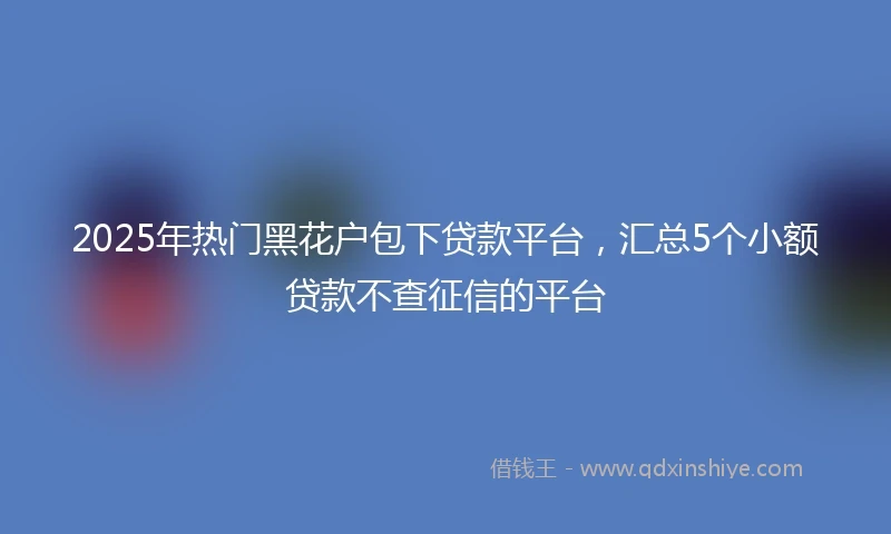 2025年热门黑花户包下贷款平台，汇总5个小额贷款不查征信的平台