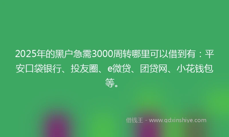 2025年的黑户急需3000周转哪里可以借到有：平安口袋银行、投友圈、e微贷、团贷网、小花钱包等。