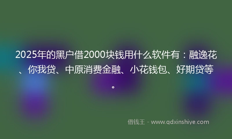 2025年的黑户借2000块钱用什么软件有：融逸花、你我贷、中原消费金融、小花钱包、好期贷等。