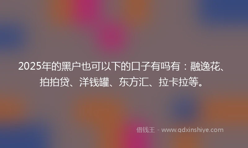 2025年的黑户也可以下的口子有吗有：融逸花、拍拍贷、洋钱罐、东方汇、拉卡拉等。