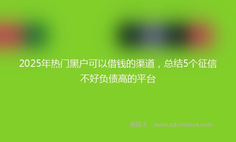 2025年热门黑户可以借钱的渠道，总结5个征信不好负债高的平台