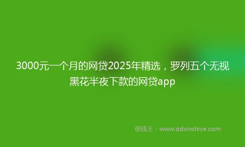 3000元一个月的网贷2025年精选，罗列五个无视黑花半夜下款的网贷app