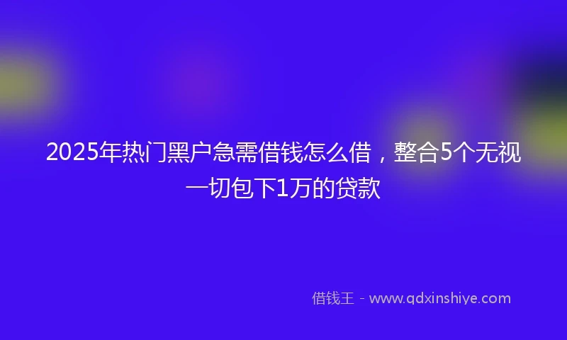 2025年热门黑户急需借钱怎么借，整合5个无视一切包下1万的贷款