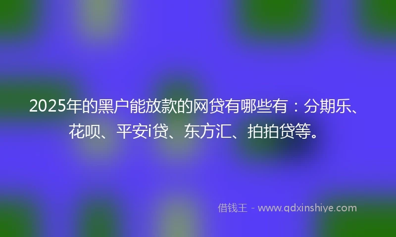 2025年的黑户能放款的网贷有哪些有：分期乐、花呗、平安i贷、东方汇、拍拍贷等。
