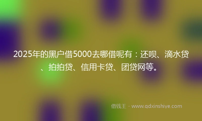 2025年的黑户借5000去哪借呢有：还呗、滴水贷、拍拍贷、信用卡贷、团贷网等。