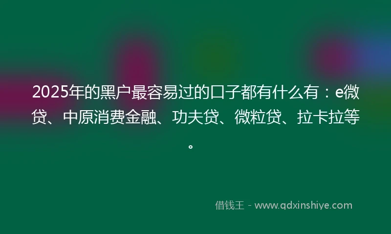 2025年的黑户最容易过的口子都有什么有：e微贷、中原消费金融、功夫贷、微粒贷、拉卡拉等。