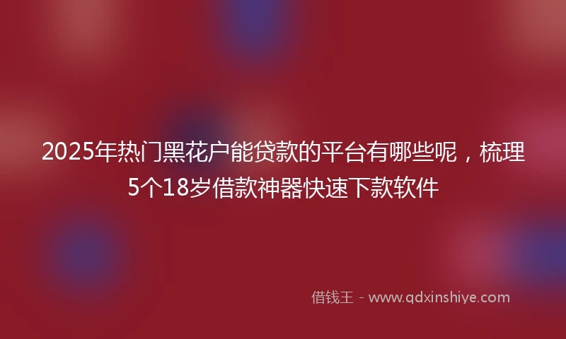 2025年热门黑花户能贷款的平台有哪些呢，梳理5个18岁借款神器快速下款软件