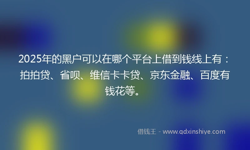 2025年的黑户可以在哪个平台上借到钱线上有：拍拍贷、省呗、维信卡卡贷、京东金融、百度有钱花等。