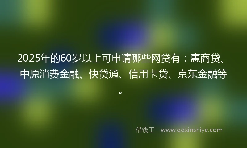 2025年的60岁以上可申请哪些网贷有：惠商贷、中原消费金融、快贷通、信用卡贷、京东金融等。