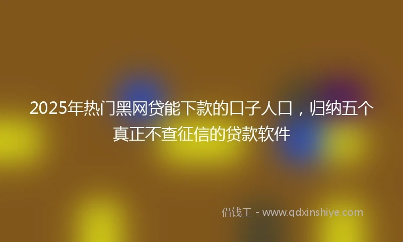 2025年热门黑网贷能下款的口子人口，归纳五个真正不查征信的贷款软件