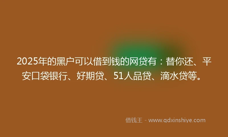 2025年的黑户可以借到钱的网贷有：替你还、平安口袋银行、好期贷、51人品贷、滴水贷等。