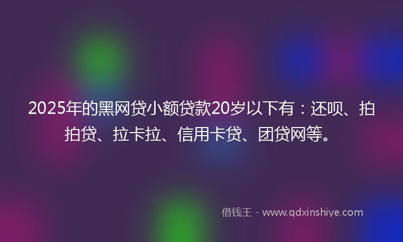 2025年的黑网贷小额贷款20岁以下有：还呗、拍拍贷、拉卡拉、信用卡贷、团贷网等。