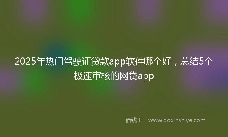 2025年热门驾驶证贷款app软件哪个好，总结5个极速审核的网贷app