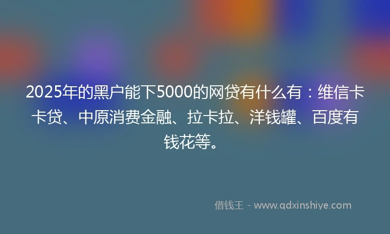 2025年的黑户能下5000的网贷有什么有：维信卡卡贷、中原消费金融、拉卡拉、洋钱罐、百度有钱花等。