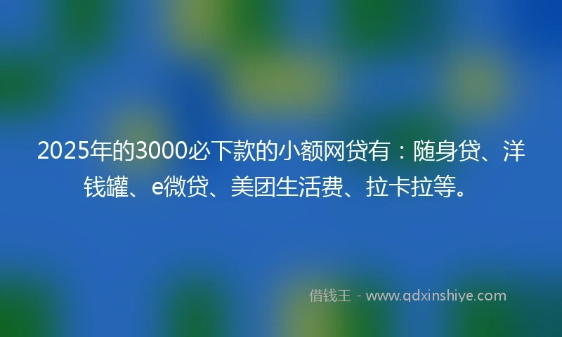 2025年的3000必下款的小额网贷有：随身贷、洋钱罐、e微贷、美团生活费、拉卡拉等。