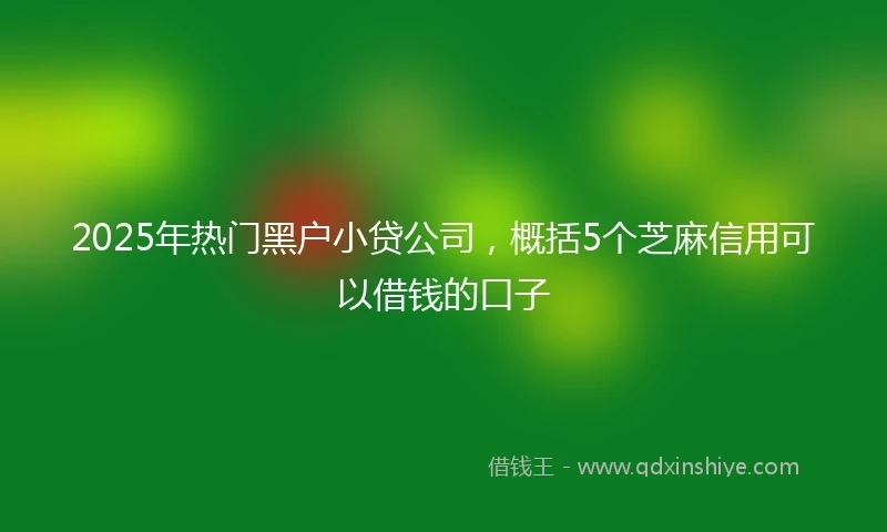 2025年热门黑户小贷公司，概括5个芝麻信用可以借钱的口子