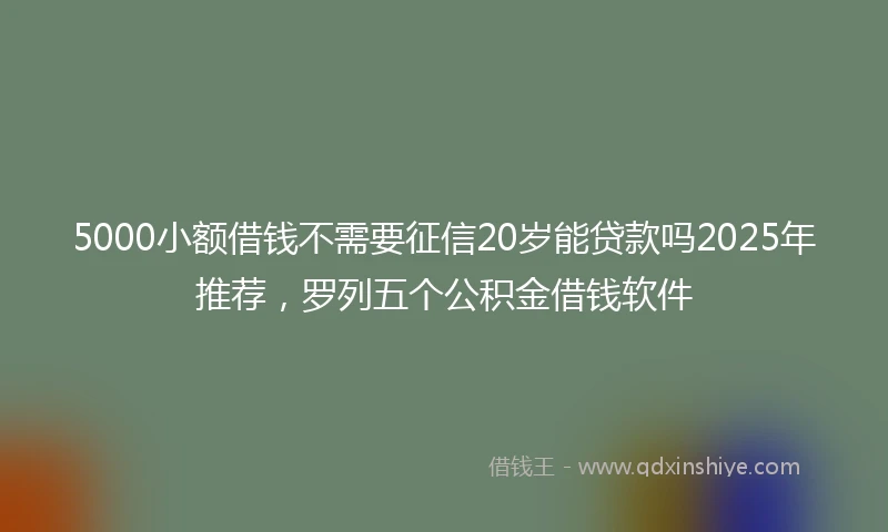 5000小额借钱不需要征信20岁能贷款吗2025年推荐，罗列五个公积金借钱软件