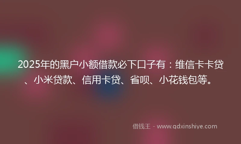 2025年的黑户小额借款必下口子有：维信卡卡贷、小米贷款、信用卡贷、省呗、小花钱包等。
