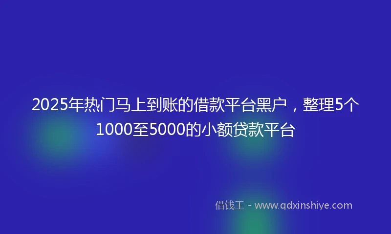 2025年热门马上到账的借款平台黑户，整理5个1000至5000的小额贷款平台