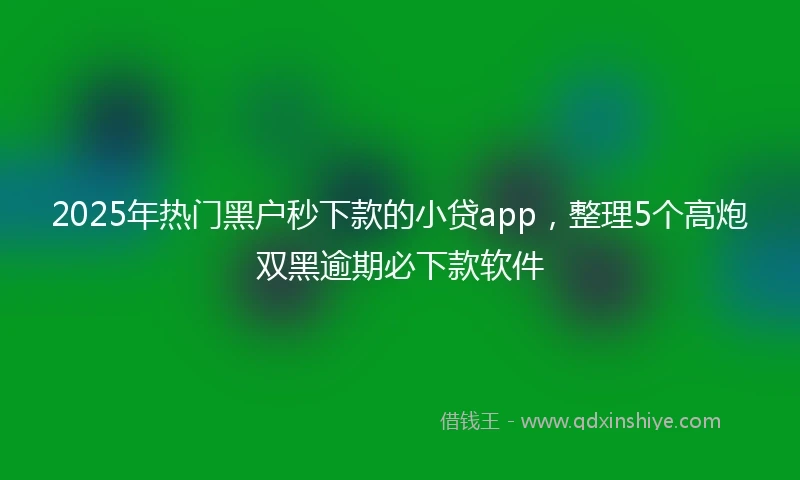 2025年热门黑户秒下款的小贷app，整理5个高炮双黑逾期必下款软件