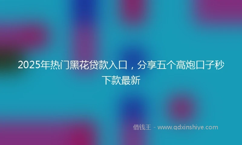 2025年热门黑花贷款入口，分享五个高炮口子秒下款最新