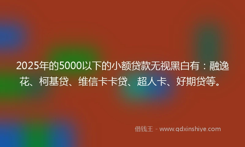 2025年的5000以下的小额贷款无视黑白有：融逸花、柯基贷、维信卡卡贷、超人卡、好期贷等。