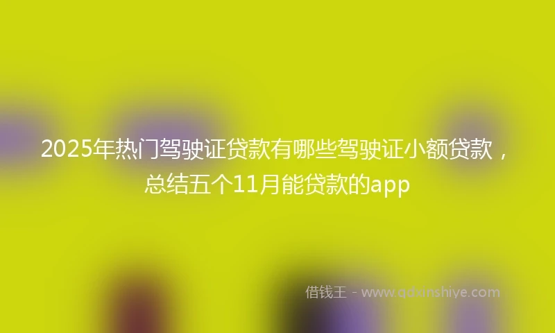 2025年热门驾驶证贷款有哪些驾驶证小额贷款，总结五个11月能贷款的app