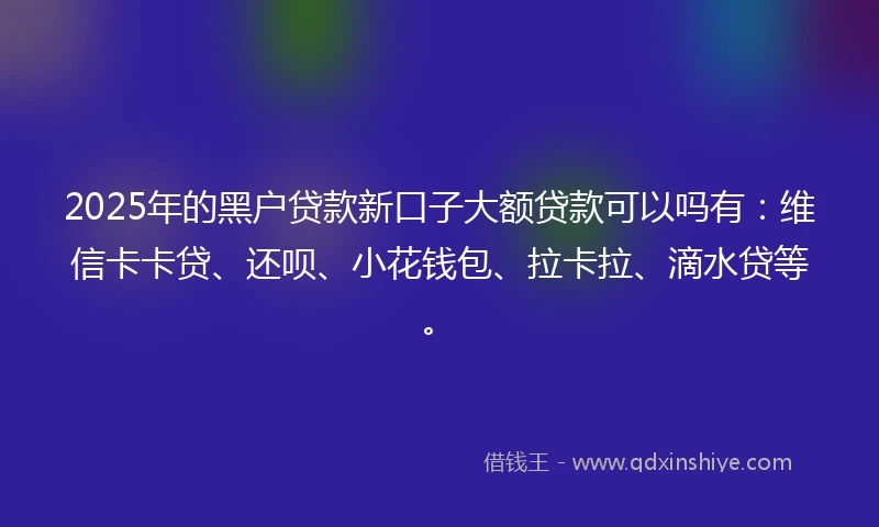 2025年的黑户贷款新口子大额贷款可以吗有：维信卡卡贷、还呗、小花钱包、拉卡拉、滴水贷等。
