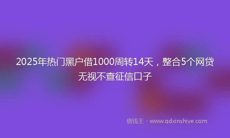 2025年热门黑户借1000周转14天，整合5个网贷无视不查征信口子