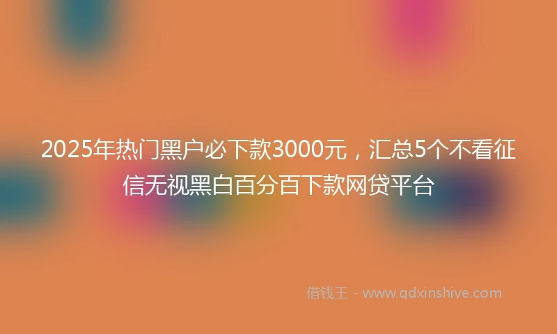 2025年热门黑户必下款3000元，汇总5个不看征信无视黑白百分百下款网贷平台