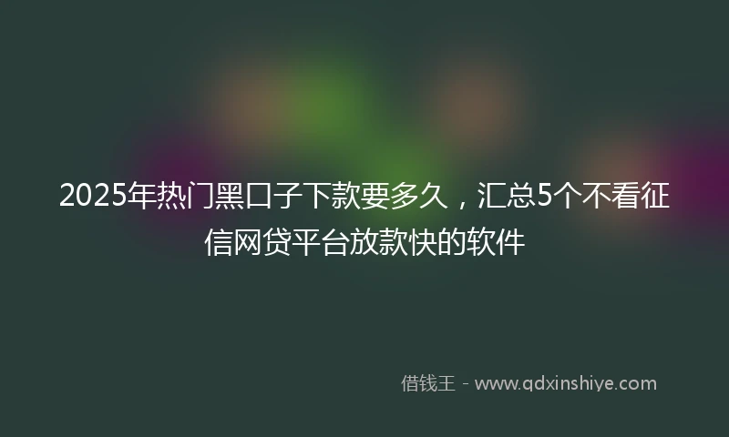 2025年热门黑口子下款要多久，汇总5个不看征信网贷平台放款快的软件