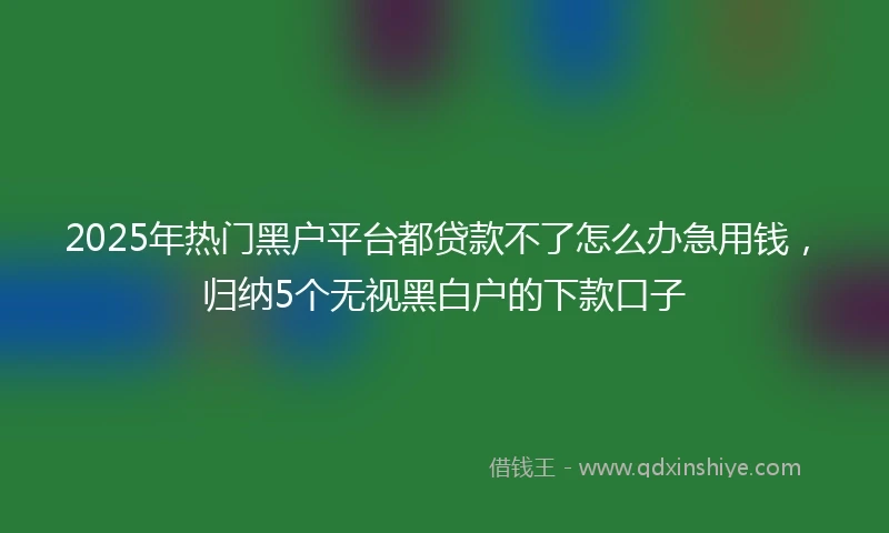 2025年热门黑户平台都贷款不了怎么办急用钱，归纳5个无视黑白户的下款口子