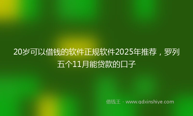 20岁可以借钱的软件正规软件2025年推荐，罗列五个11月能贷款的口子