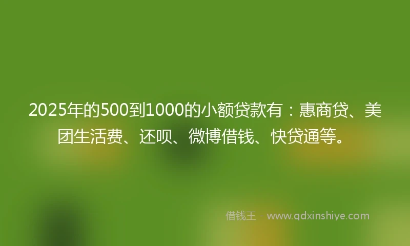 2025年的500到1000的小额贷款有：惠商贷、美团生活费、还呗、微博借钱、快贷通等。