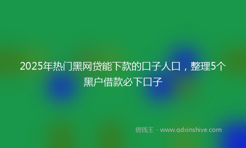 2025年热门黑网贷能下款的口子人口，整理5个黑户借款必下口子