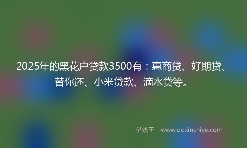 2025年的黑花户贷款3500有：惠商贷、好期贷、替你还、小米贷款、滴水贷等。