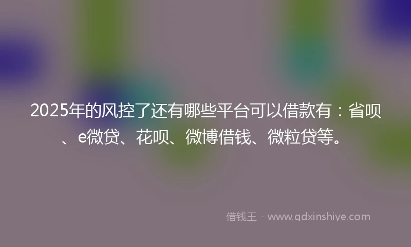 2025年的风控了还有哪些平台可以借款有：省呗、e微贷、花呗、微博借钱、微粒贷等。