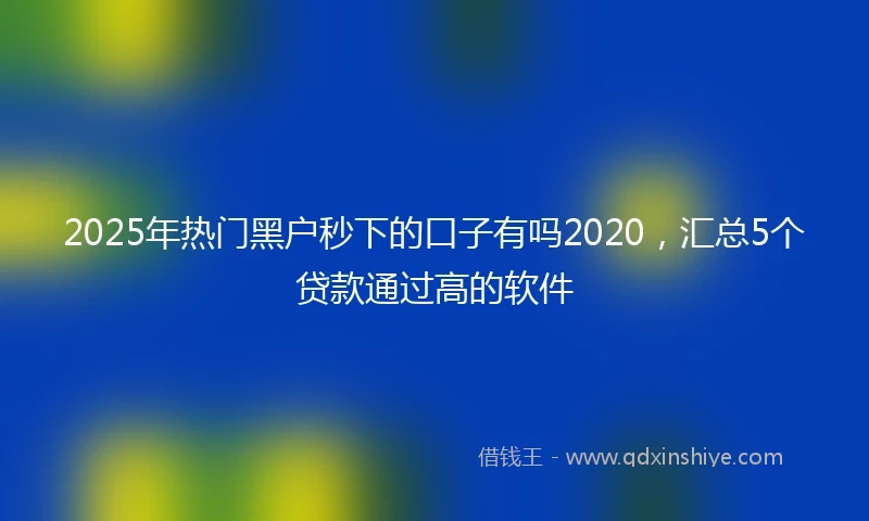 2025年热门黑户秒下的口子有吗2020，汇总5个贷款通过高的软件