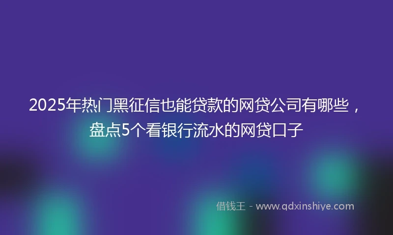 2025年热门黑征信也能贷款的网贷公司有哪些，盘点5个看银行流水的网贷口子